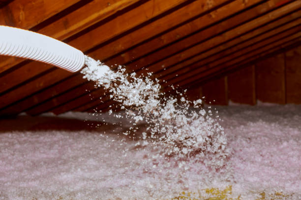 Best Eco-Friendly Insulation in Metter, GA
