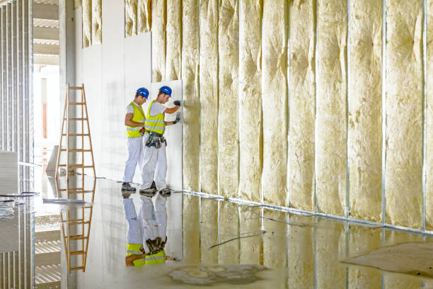 Best Blown-in Insulation in Metter, GA